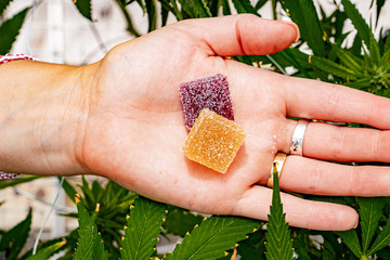 Featured image for “What are THC Edibles?”
